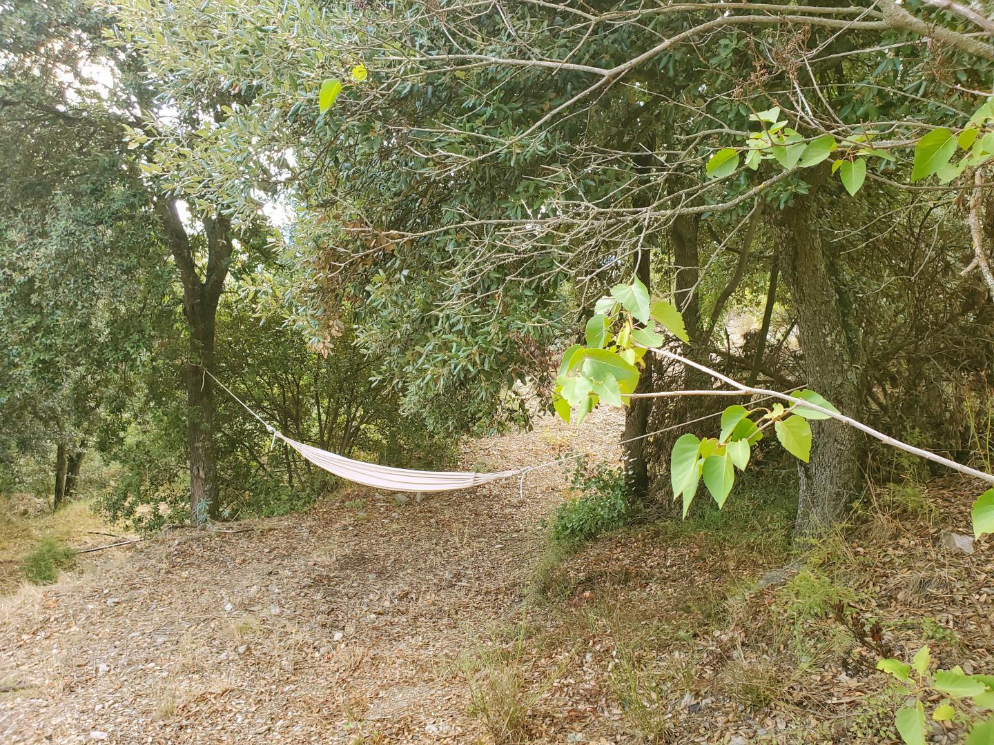 MAS SEULS AU MONDE, Ria-Sirach - photo 20