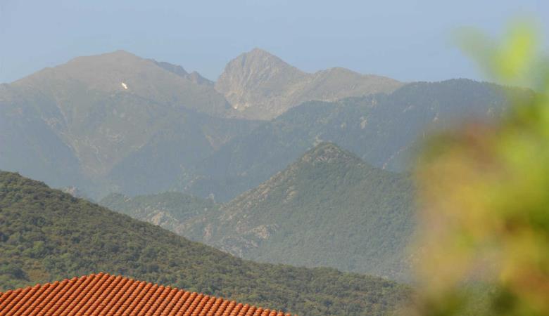 Mas de l' Estrade_12
