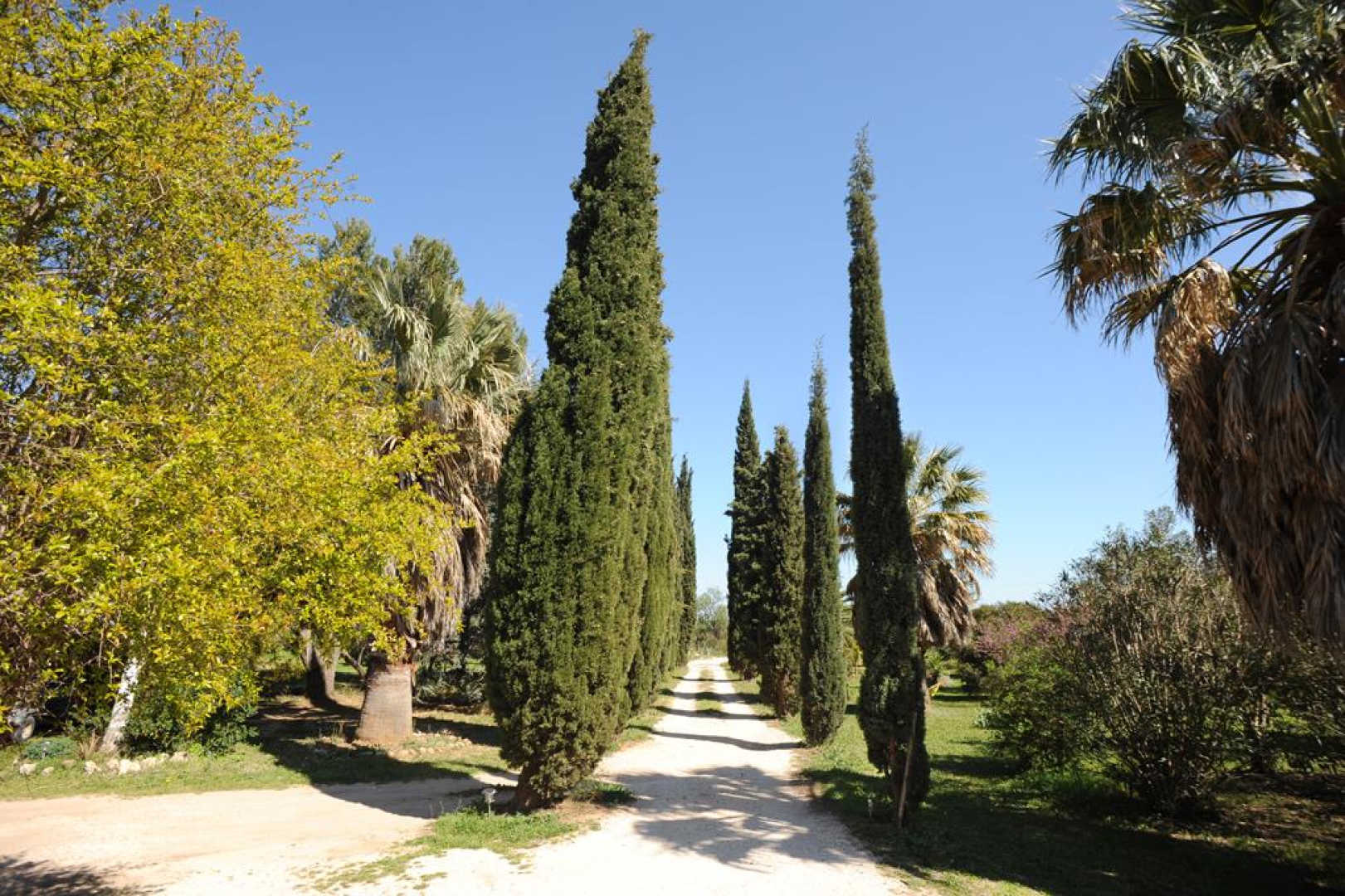 MAS CAYROL, Rivesaltes - photo 32