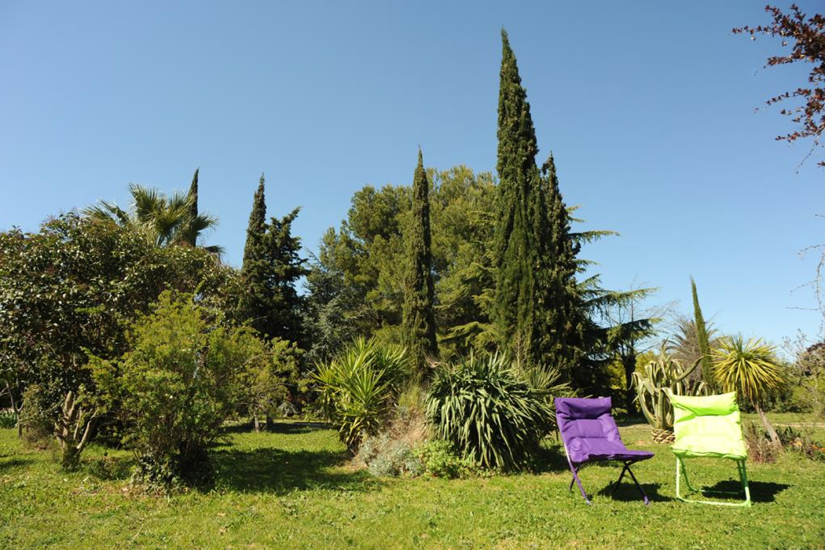 MAS CAYROL, Rivesaltes - photo 28