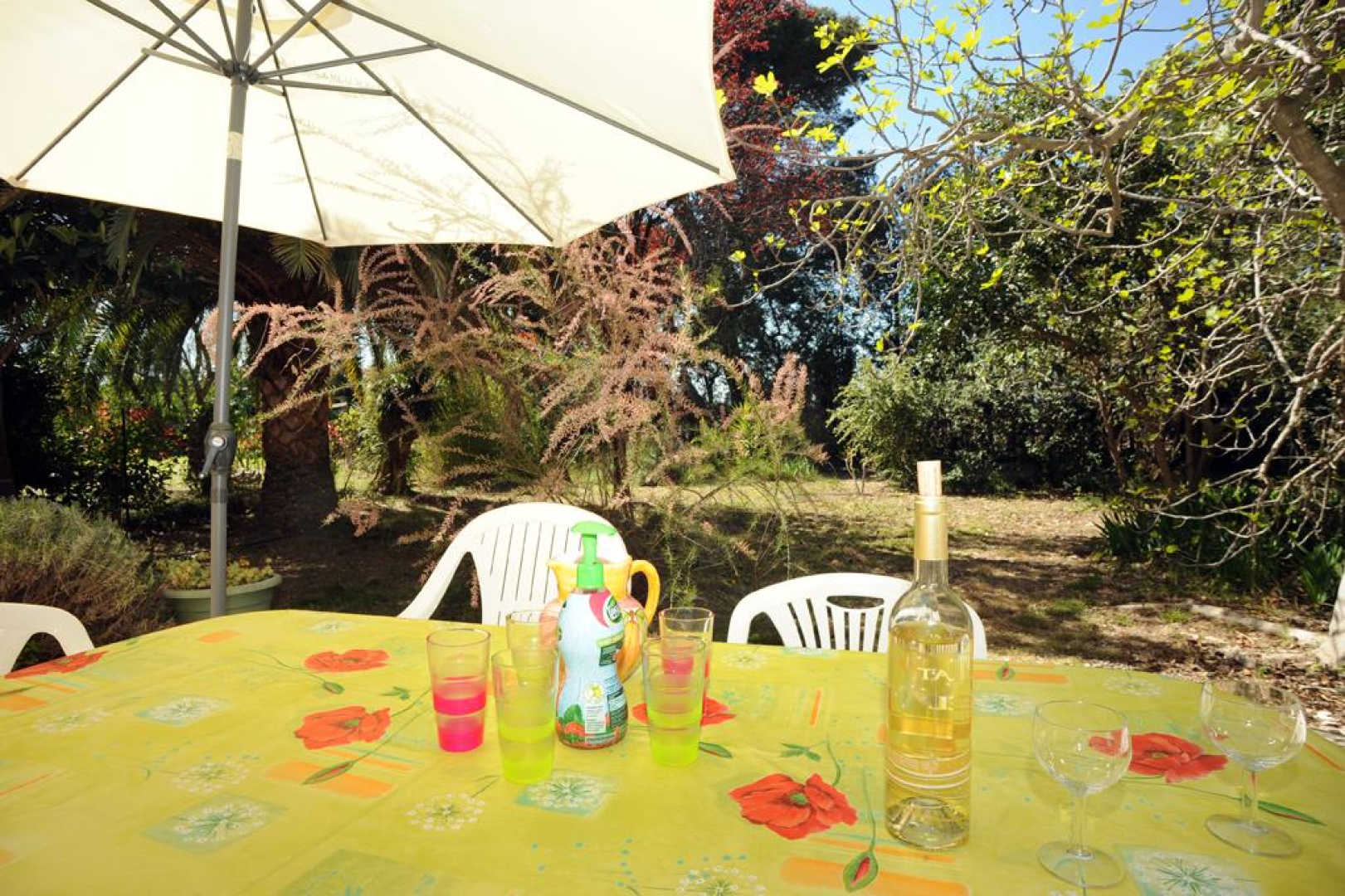 MAS CAYROL, Rivesaltes - photo 41