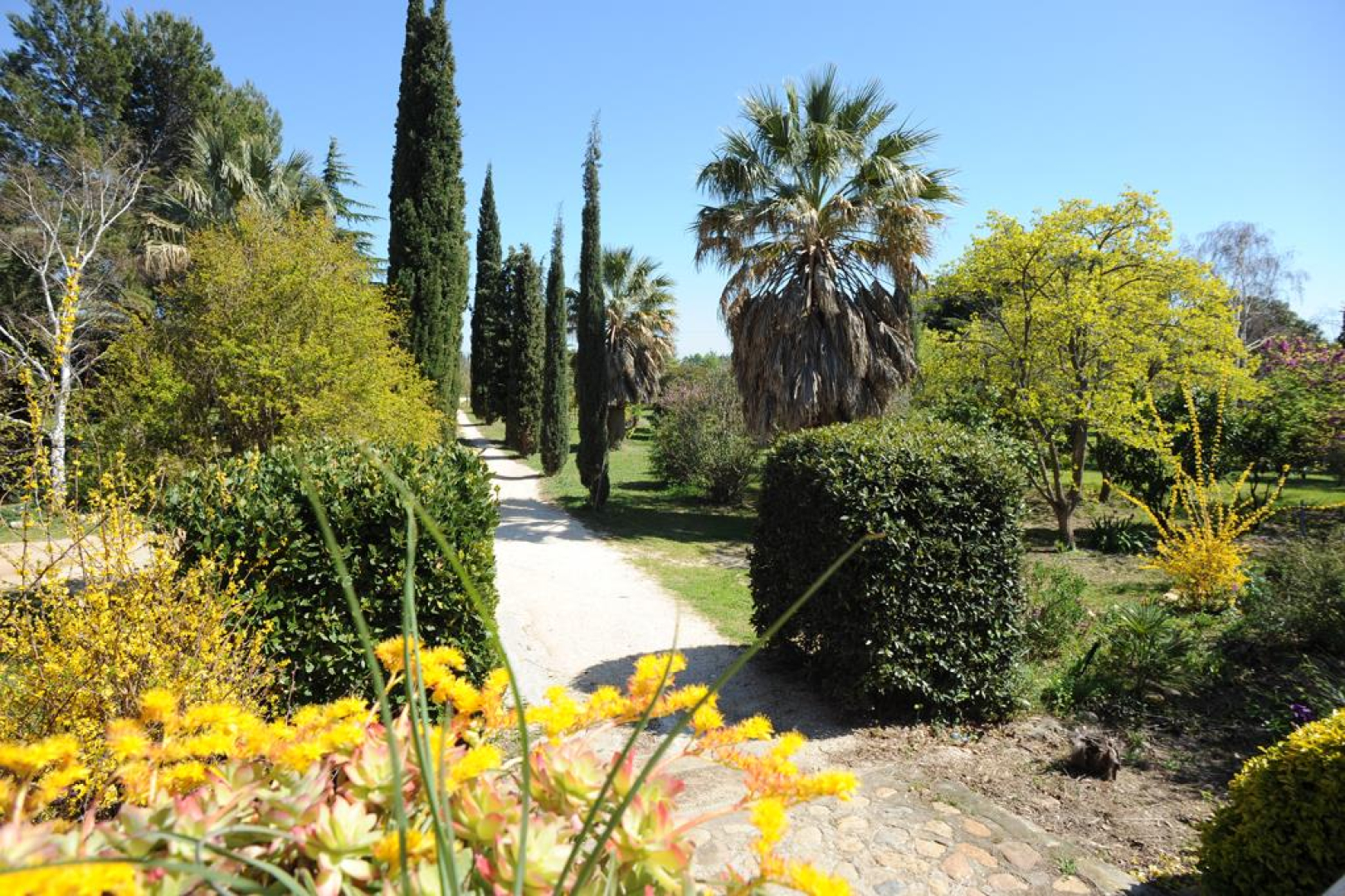 MAS CAYROL, Rivesaltes - photo 34
