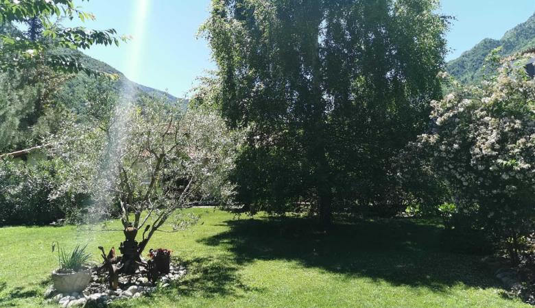 Les lauriers_22