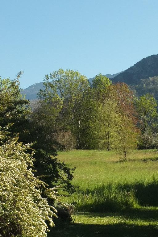 LE CHANT DES OISEAUX, Sahorre - photo 19