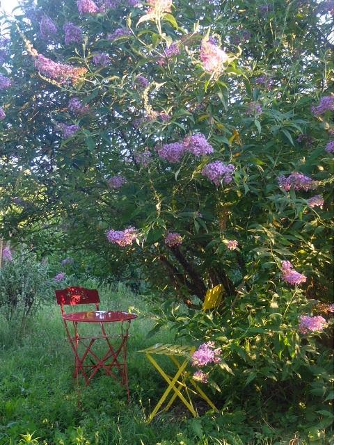 LE CHANT DES OISEAUX, Sahorre - photo 8