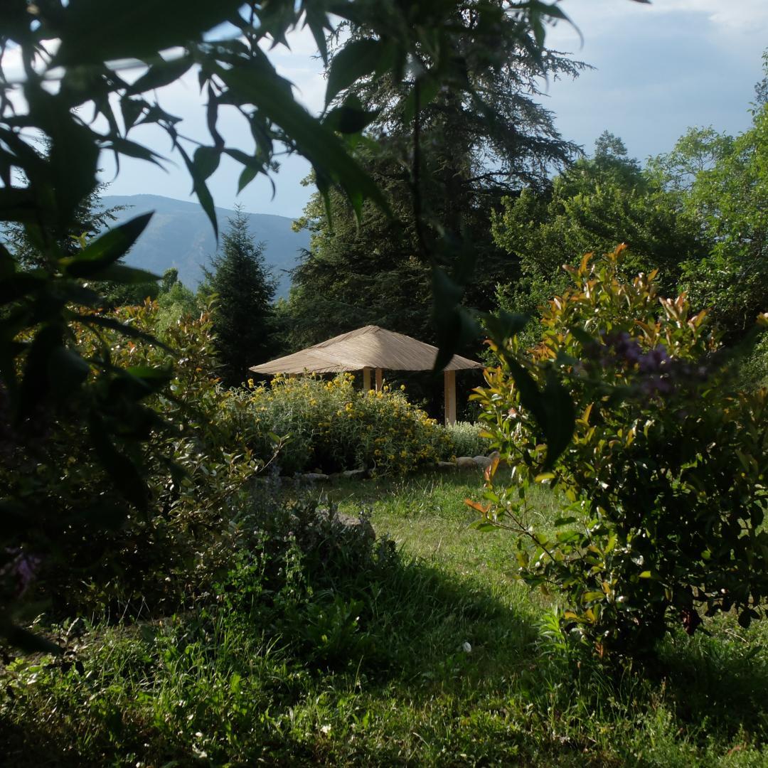 LE CHANT DES OISEAUX