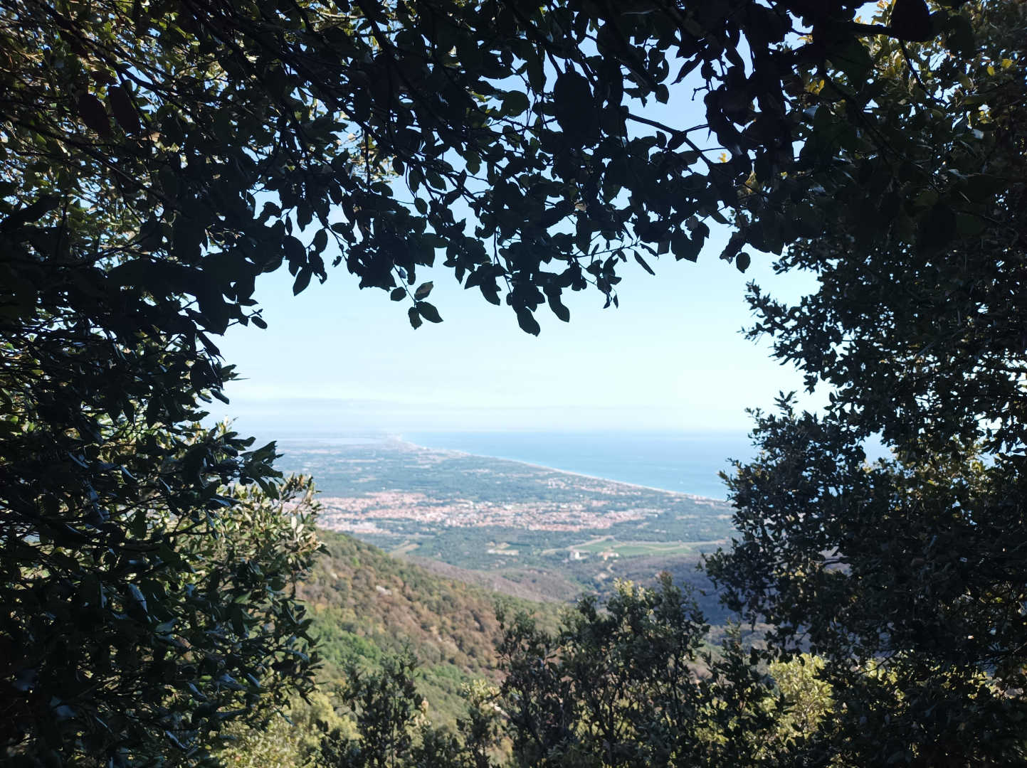 ALBÈRES, Saint-André - photo 40