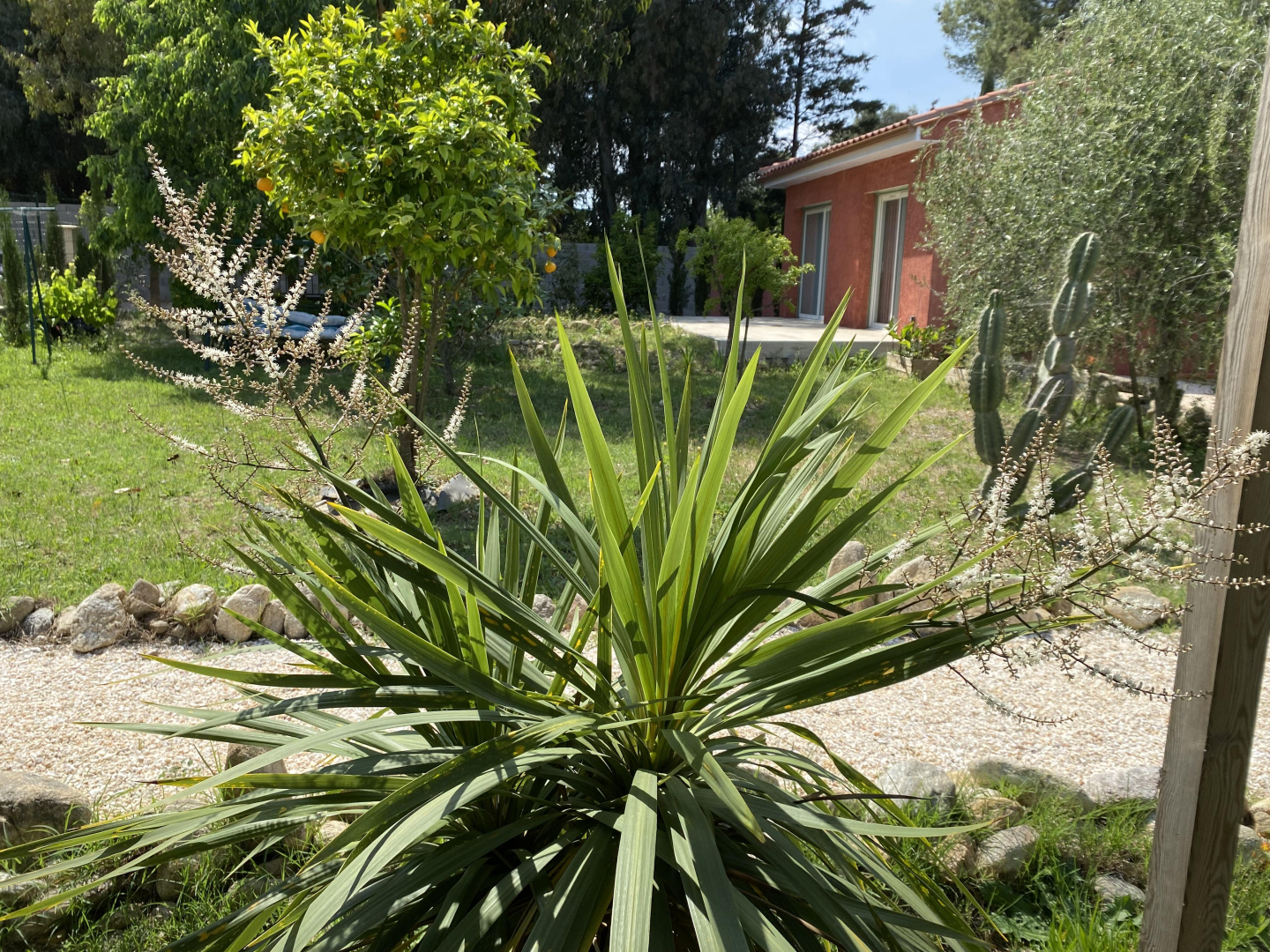 GÎTE L'OLIVETTE DES ALBÈRES, Saint-André - photo 40