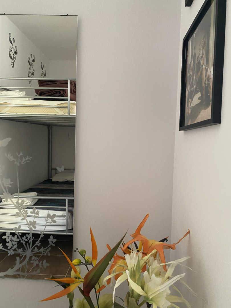 GÎTE L'OLIVETTE DES ALBÈRES, Saint-André - photo 57