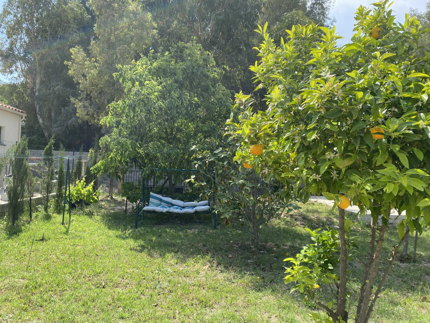 GÎTE L'OLIVETTE DES ALBÈRES, Saint-André - photo 60