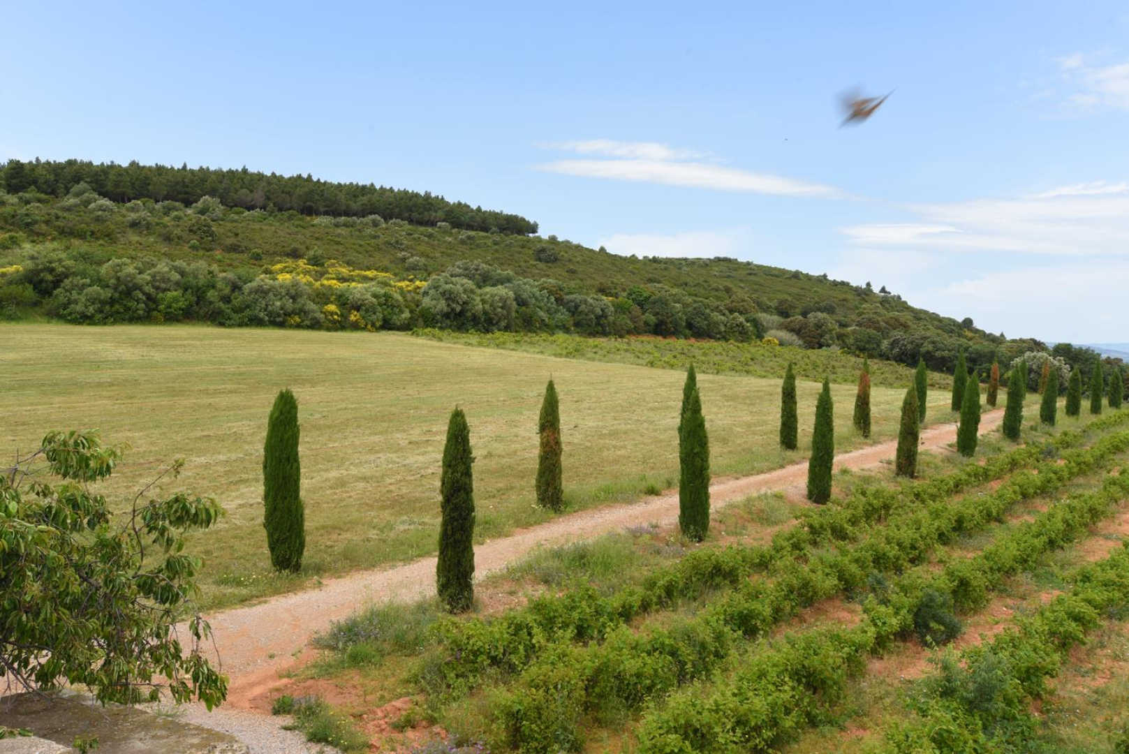 66G117005 3040a15e836c4b0eb8a21260f1601686