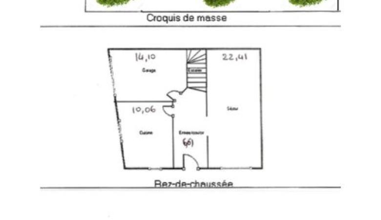 Fleur d'oranger_36