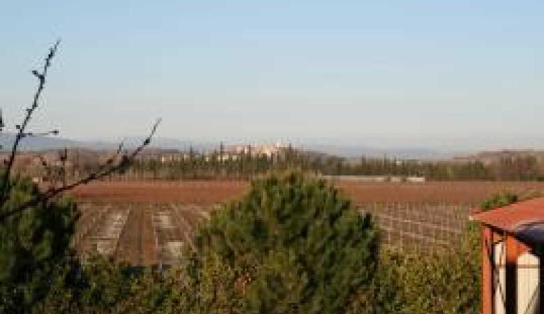 Domaine Bisconte_21