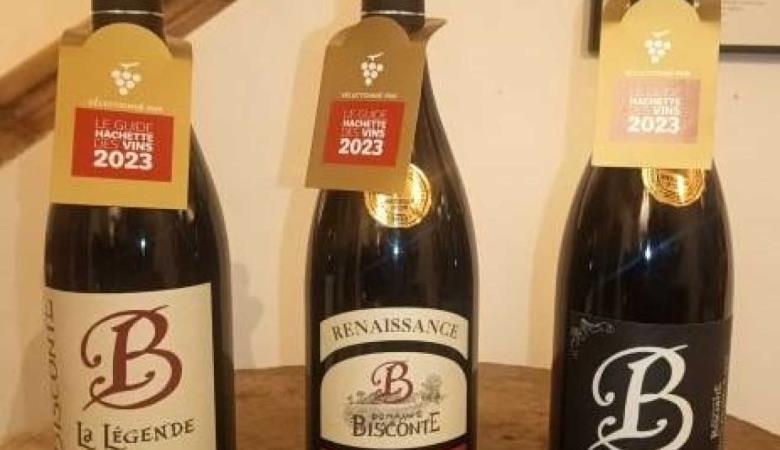 Domaine Bisconte_6