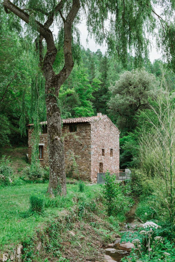LE MOULIN, Saint-Laurent-de-Cerdans - photo 47