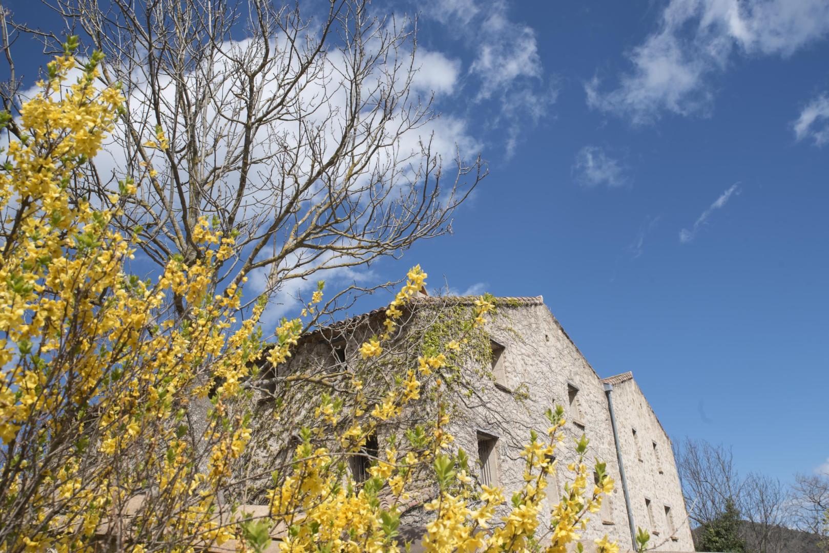 LA BOADELLE, Saint-Laurent-de-Cerdans - photo 42