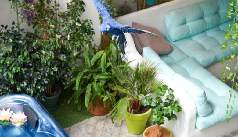 Le gîte des Tontons_11