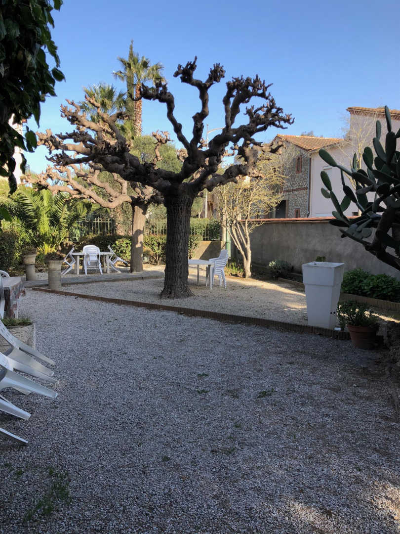 L'OLIVIER, Sainte-Marie-la-Mer - photo 28