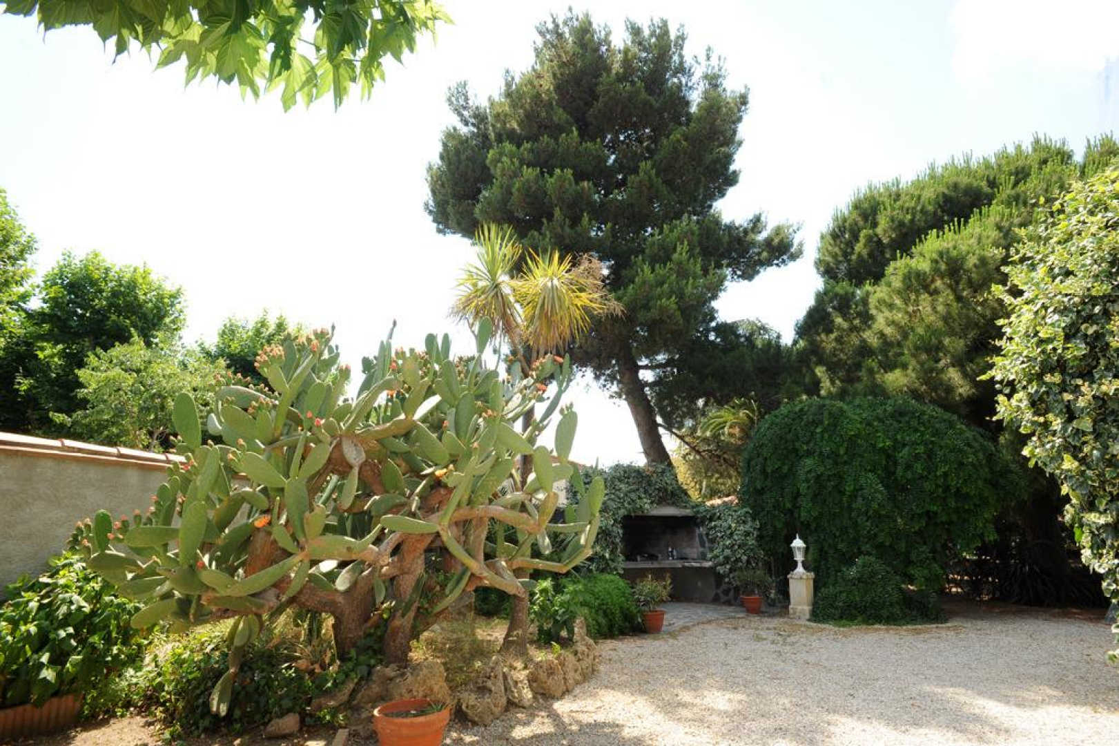 L'OLIVIER, Sainte-Marie-la-Mer - photo 32