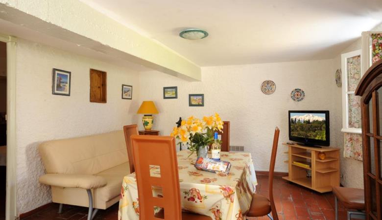 Le cactus_12