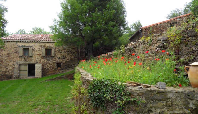 Le gîte du vieux mas_33