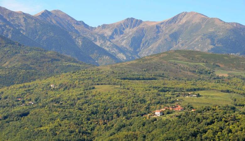 Le gîte du vieux mas_35