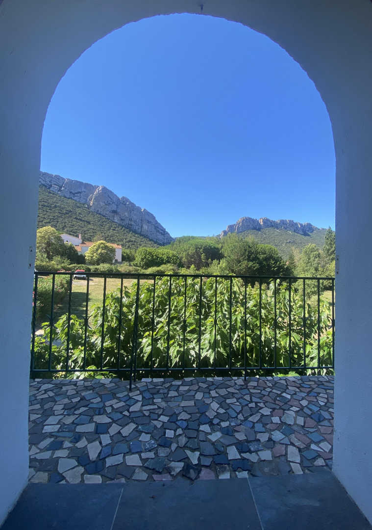 Clos de la Trille d'Arguti_13
