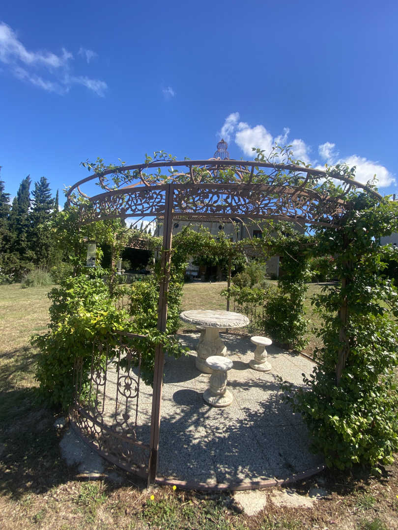 Clos de la Trille d'Arguti_15