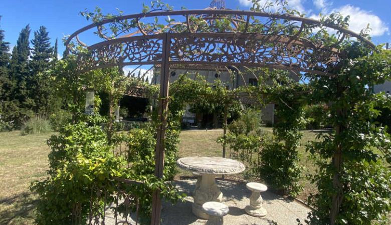 Clos de la Trille d'Arguti_15