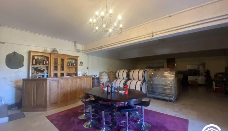Clos de la Trille d'Arguti_32