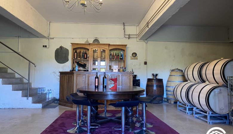 Clos de la Trille d'Arguti_19