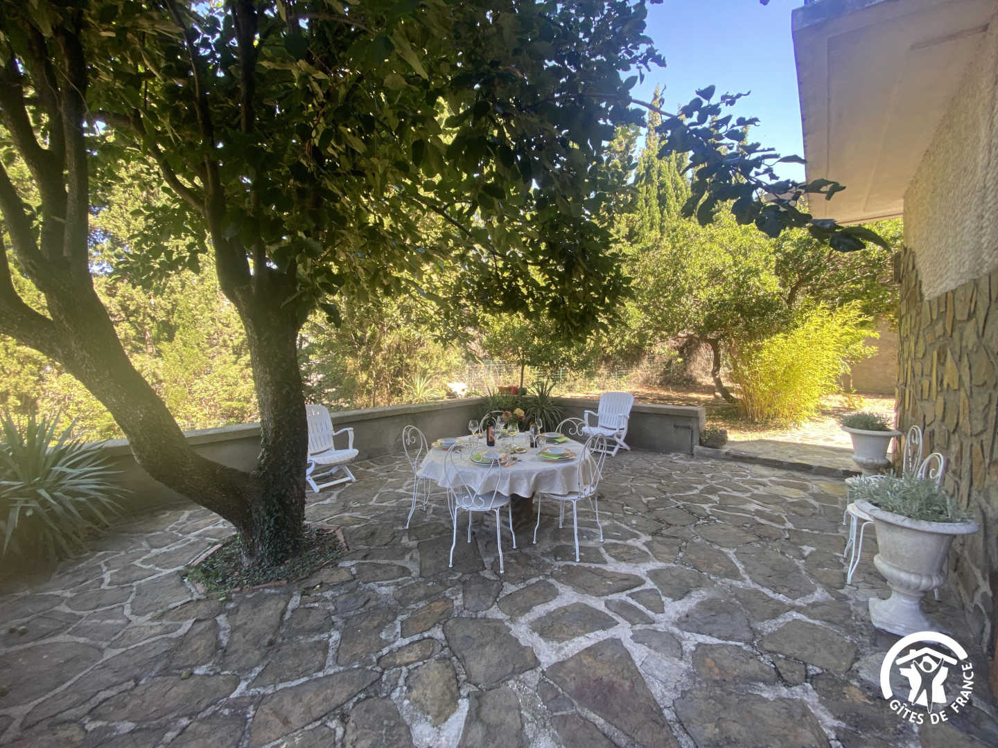 Clos de la Trille d'Arguti_37