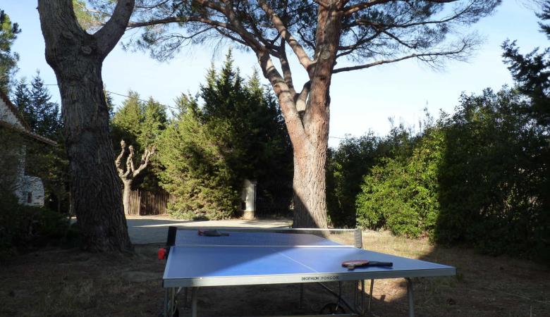 Villa Eucalyptus_24