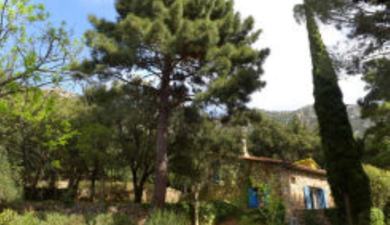 Le mas des cistes_1