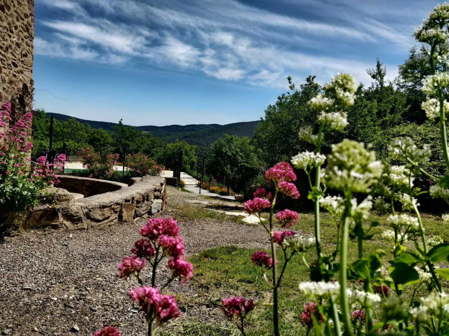 DAMA JANA, Taulis - photo 86