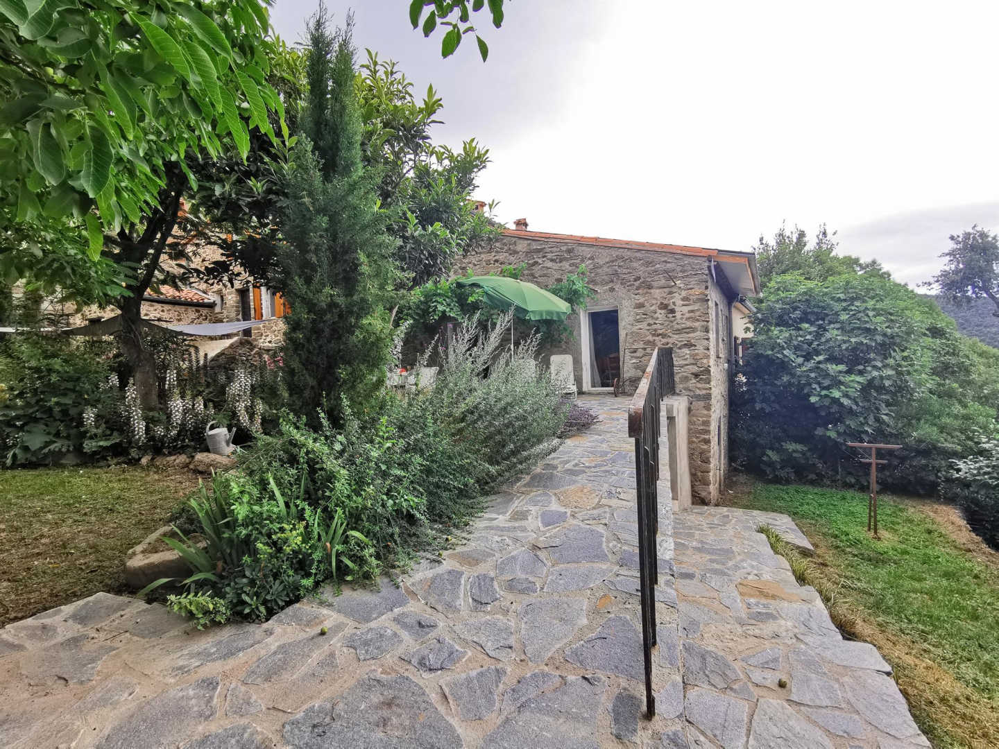 DAMA JANA, Taulis - photo 88