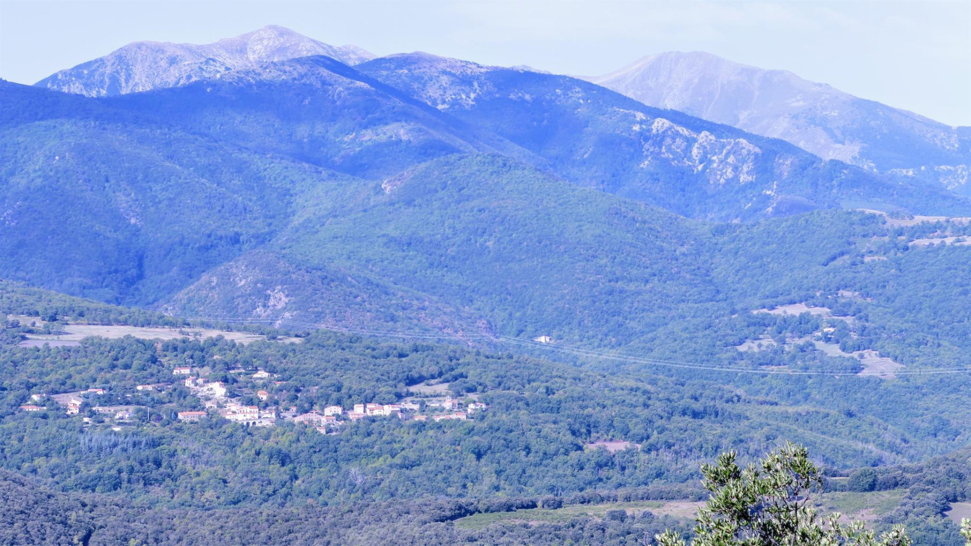 CAN BASSOU, Taulis - photo 93