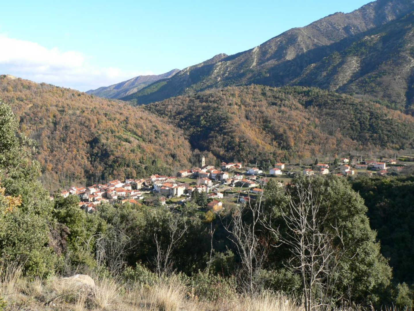 LA FARGA, Taurinya - photo 32