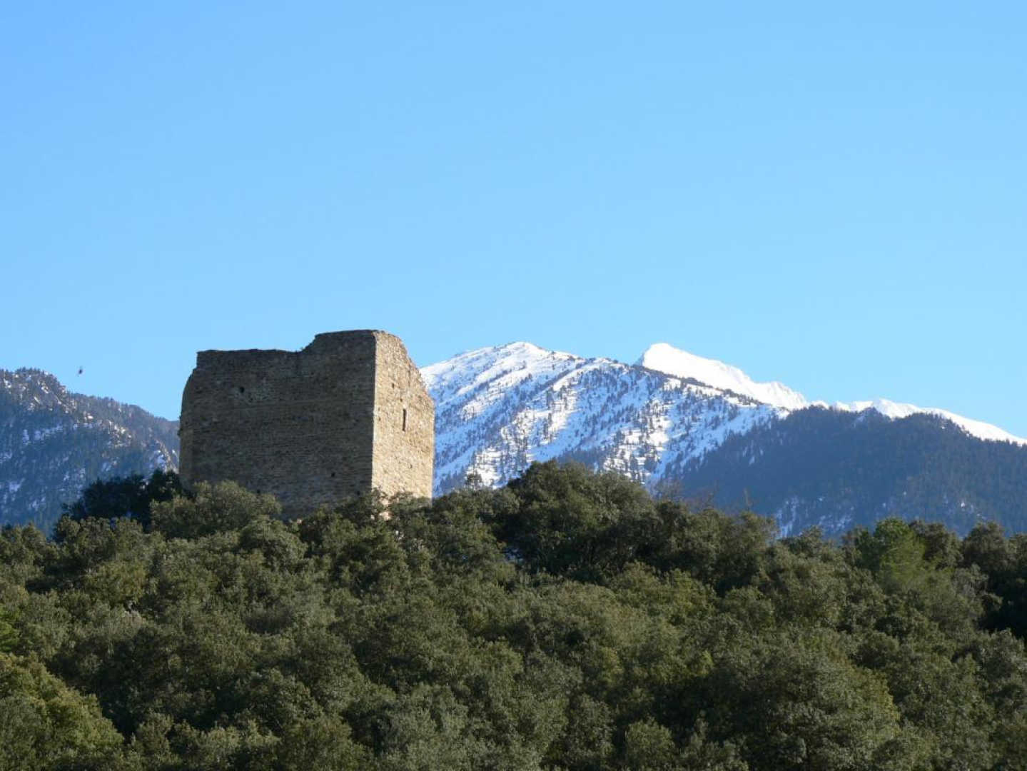 LA FARGA, Taurinya - photo 30
