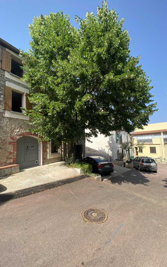 La maison au tilleul_20