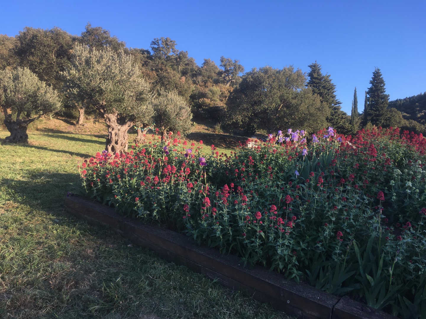 66G120701 942f9c9538994c8183b18e298e5945bd