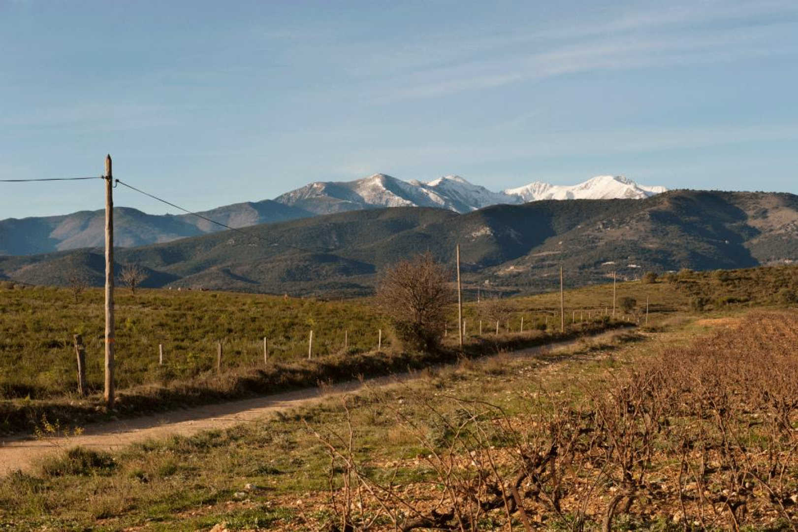 66G120701 96b8466a6d254c33b57a6b334cad9a98