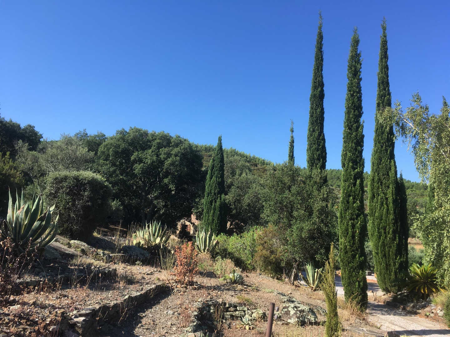 66G120701 a2e006c12b4744bfb3939f071fad659b