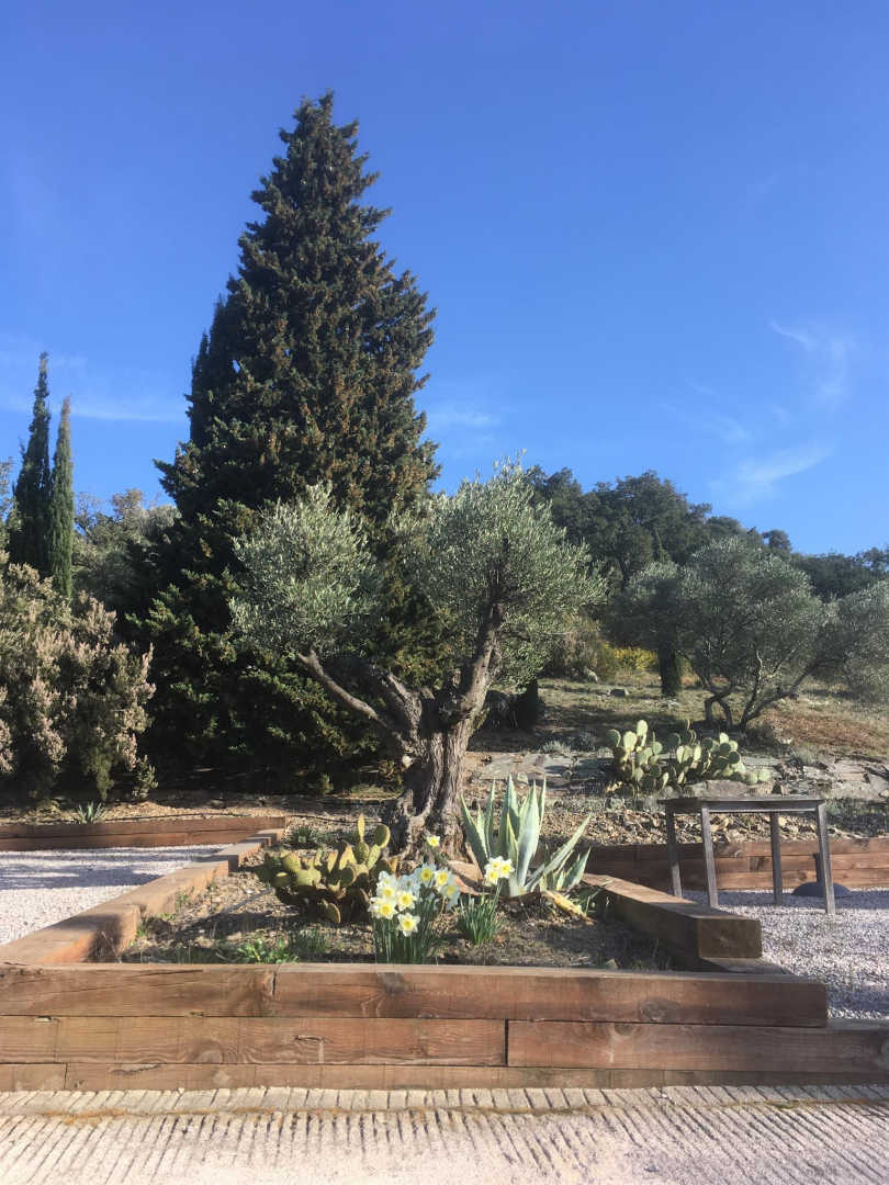 66G120701 c26c4be1741c49ef8bffb6de26f31d46