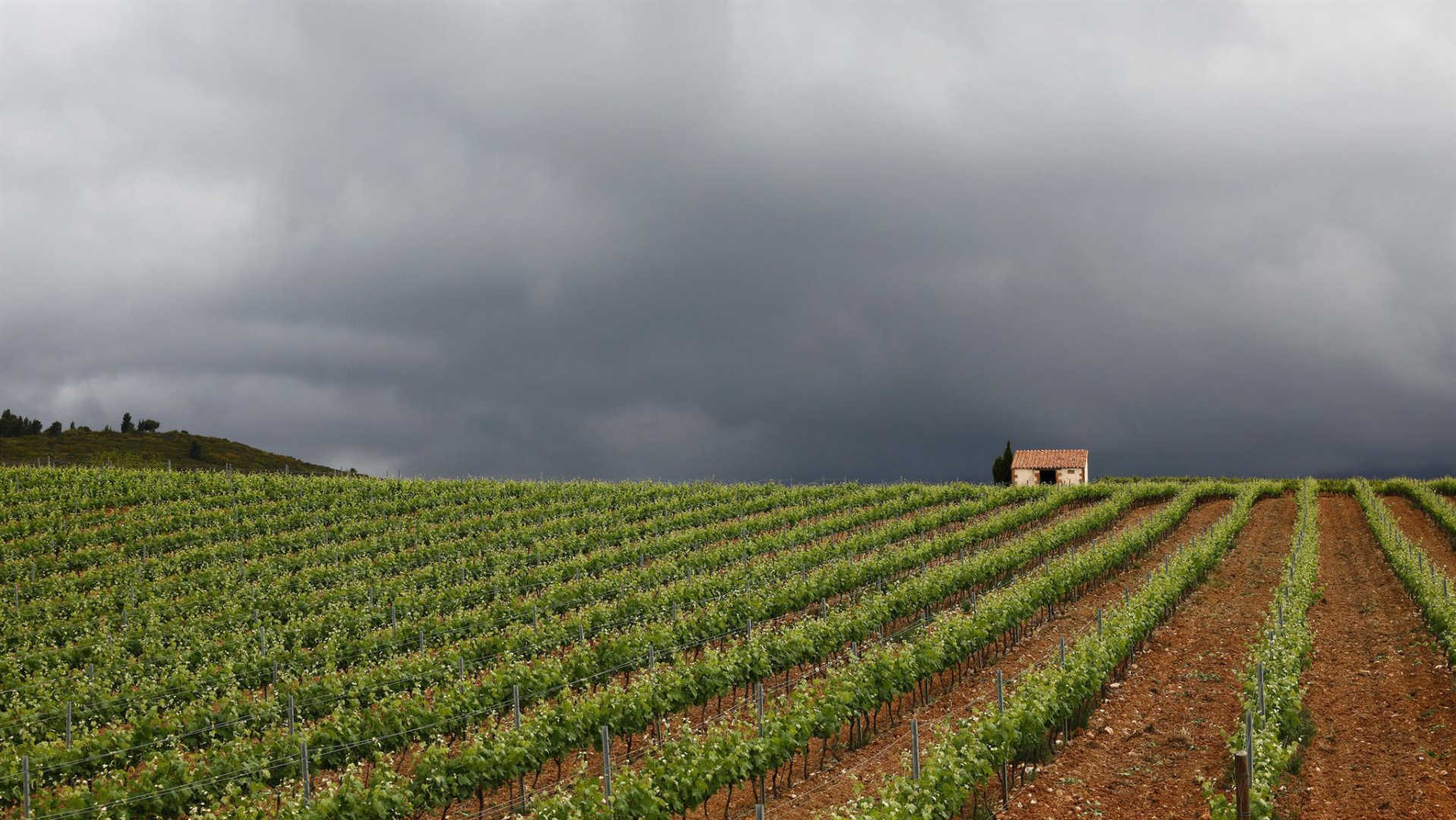 66G120701 efa4ad6424f6405099e56735a152535d