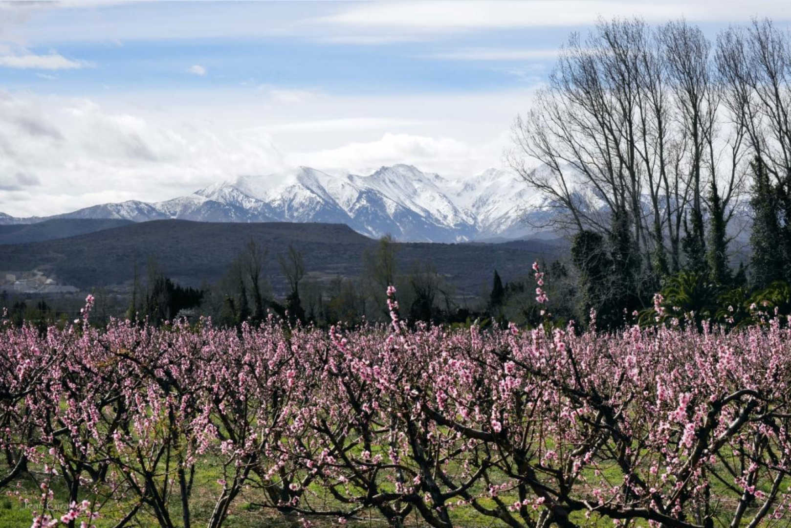 66G121025 1c1542c6726b46088024e138824f170f