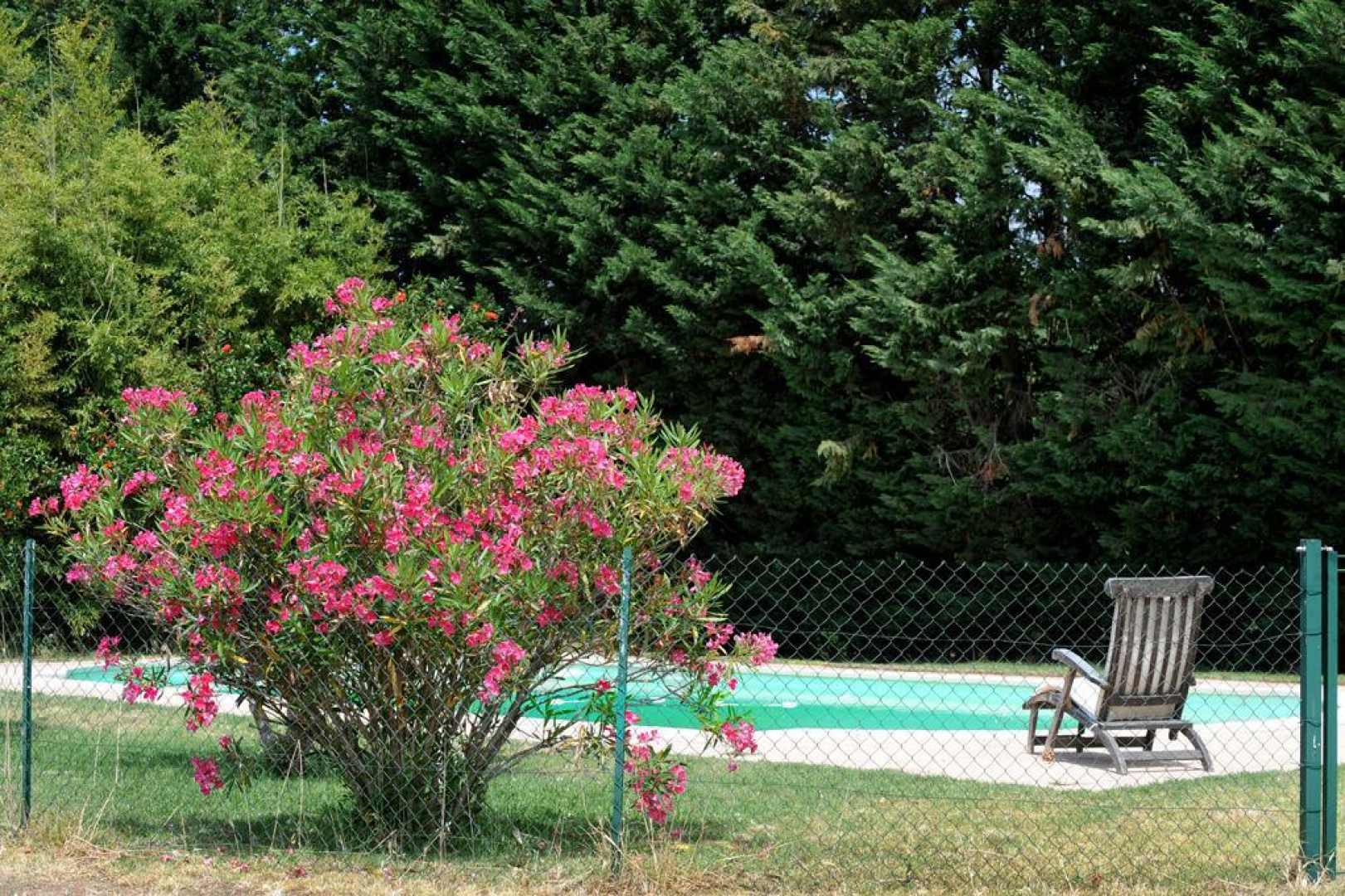 66G121040 31ba2f5aa47043ccbd9c39e07a9e73de