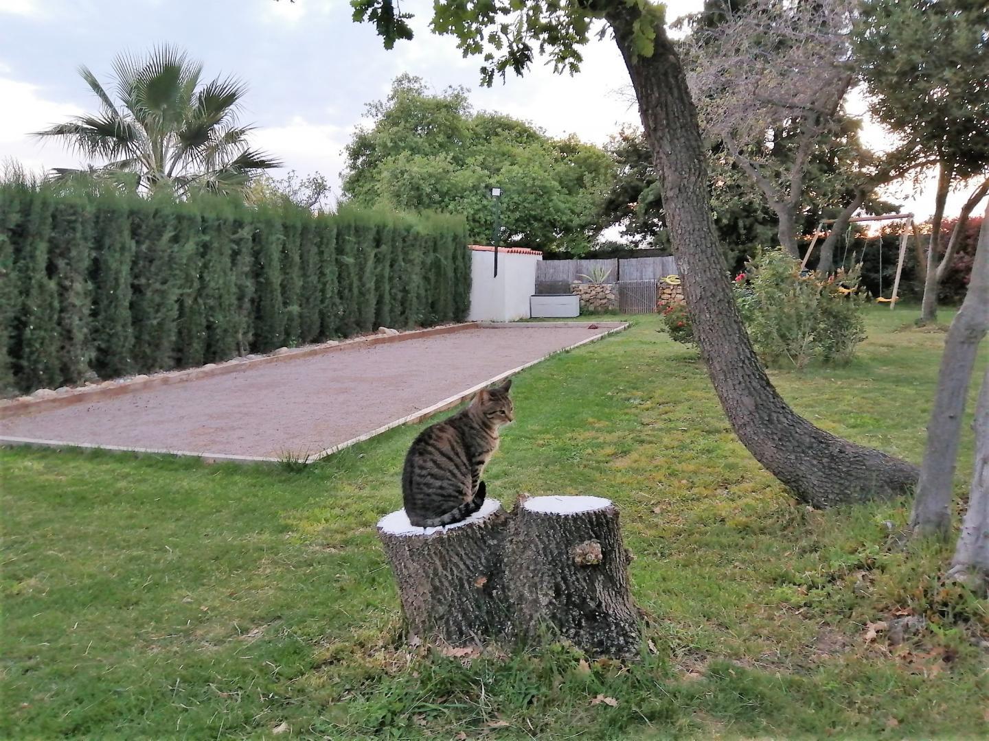 66G121053 7c84a68b3f3e4868a56cbc002c9877ed