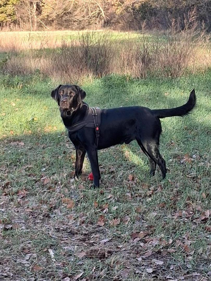 66G121055 f26040f42a27467babf56716ae903649