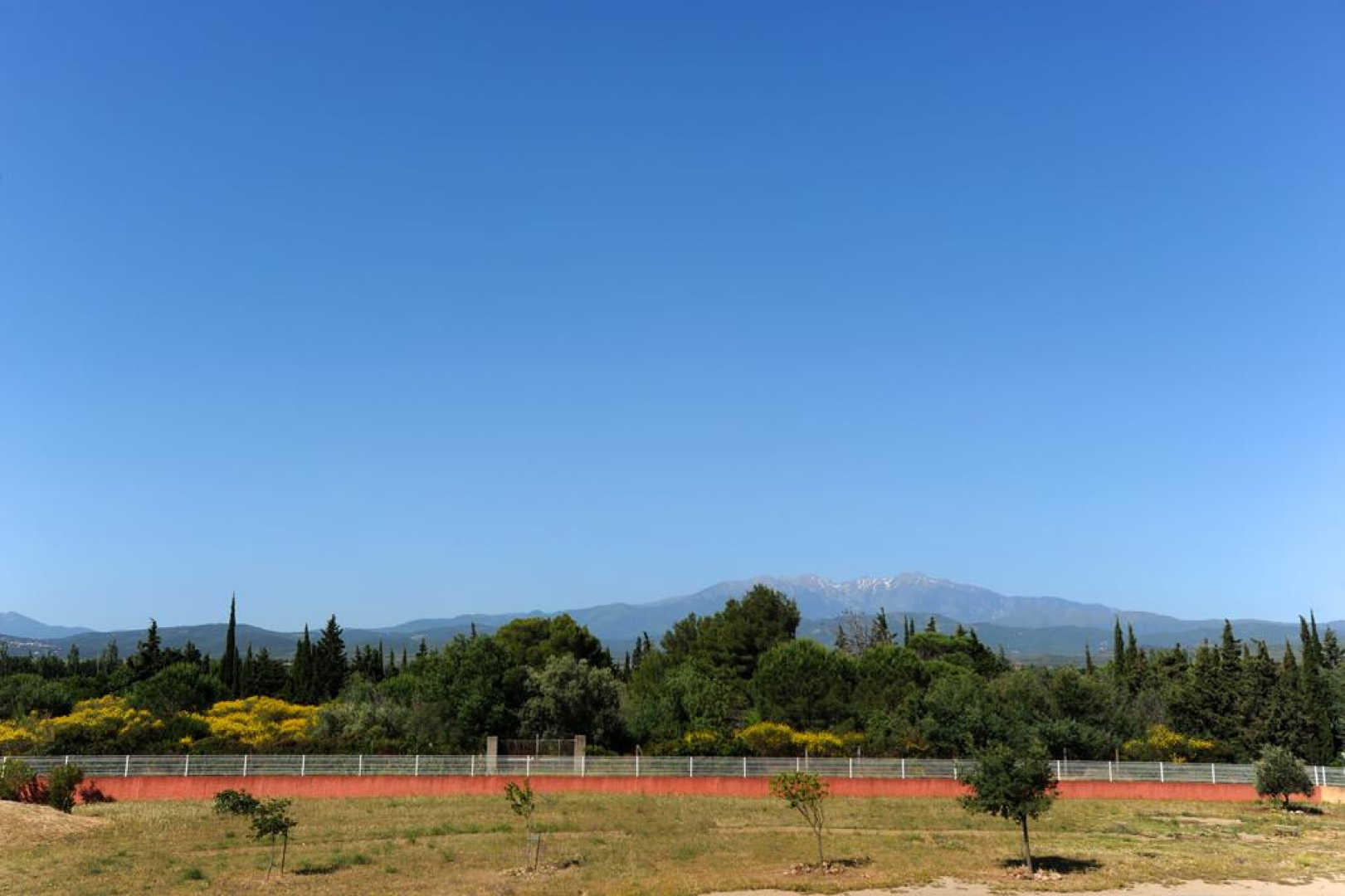La Perdrix